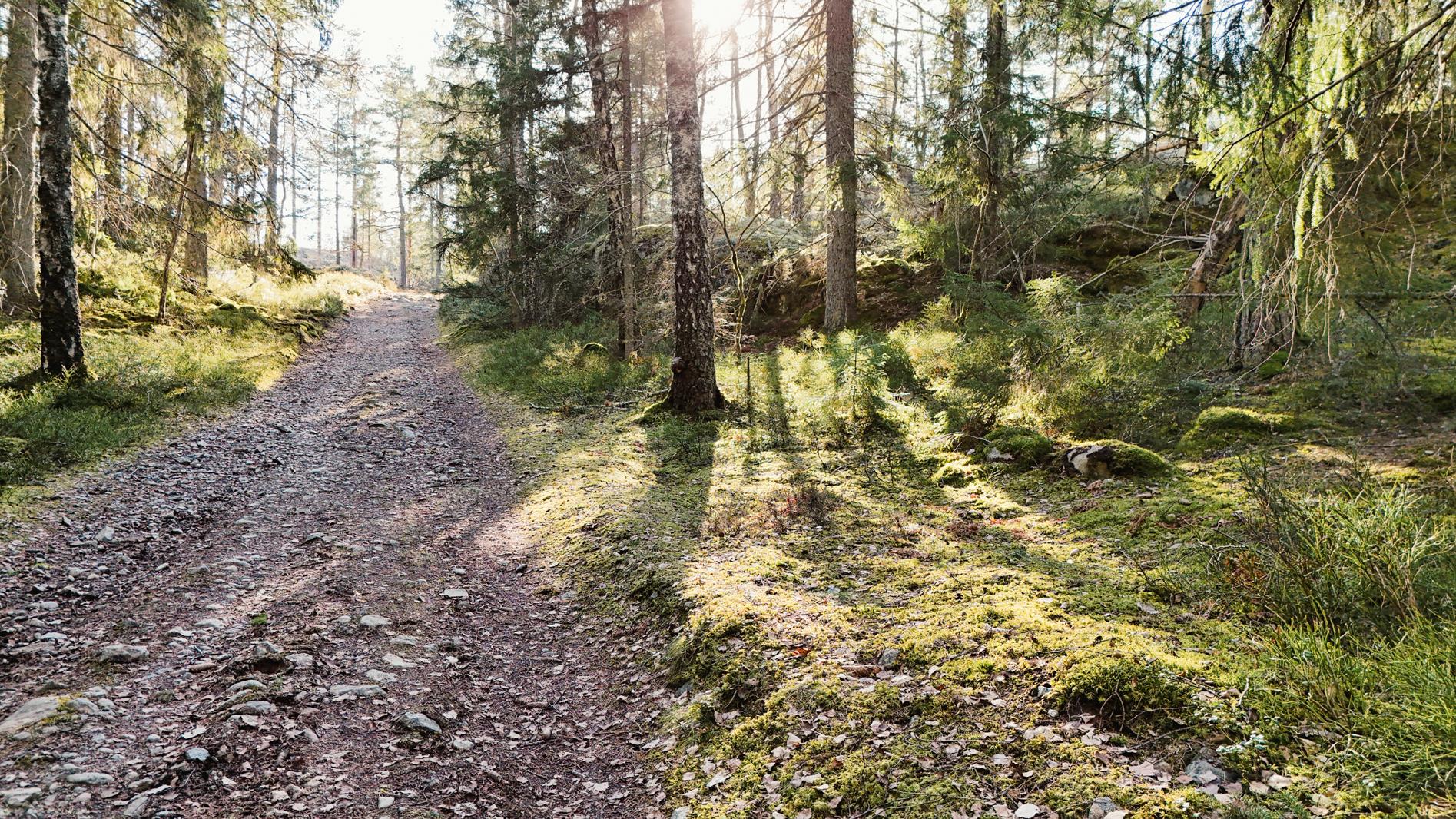 lyberghamrin.se