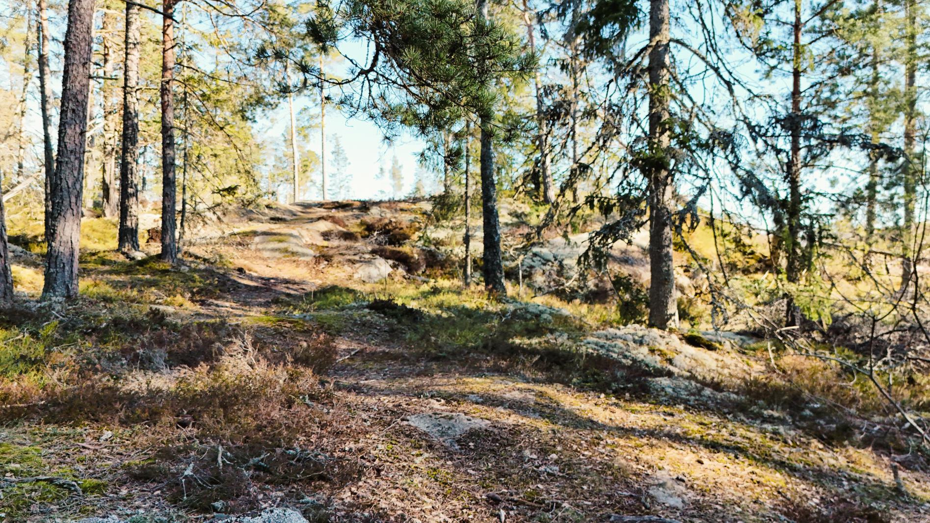 lyberghamrin.se